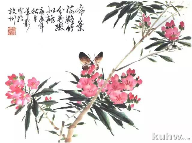 写意花鸟临本：蝴蝶画法，写意蝴蝶画法详解