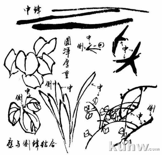 写意花鸟画笔墨技法：笔锋使用详解