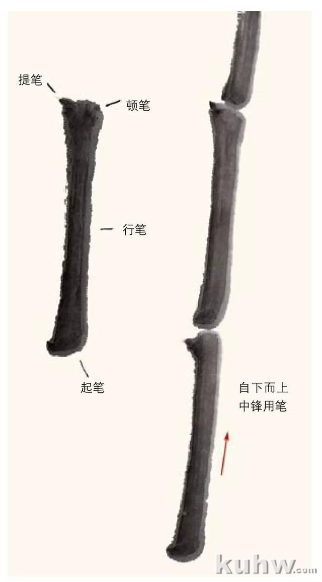 「转」名家教你画竹，从简单画起