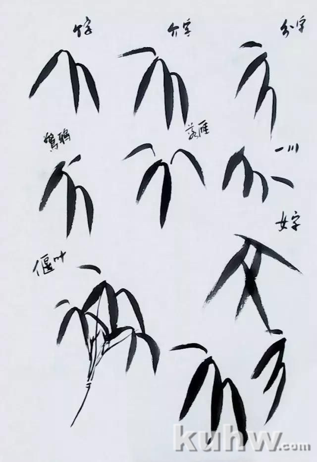 竹子画法基础教程