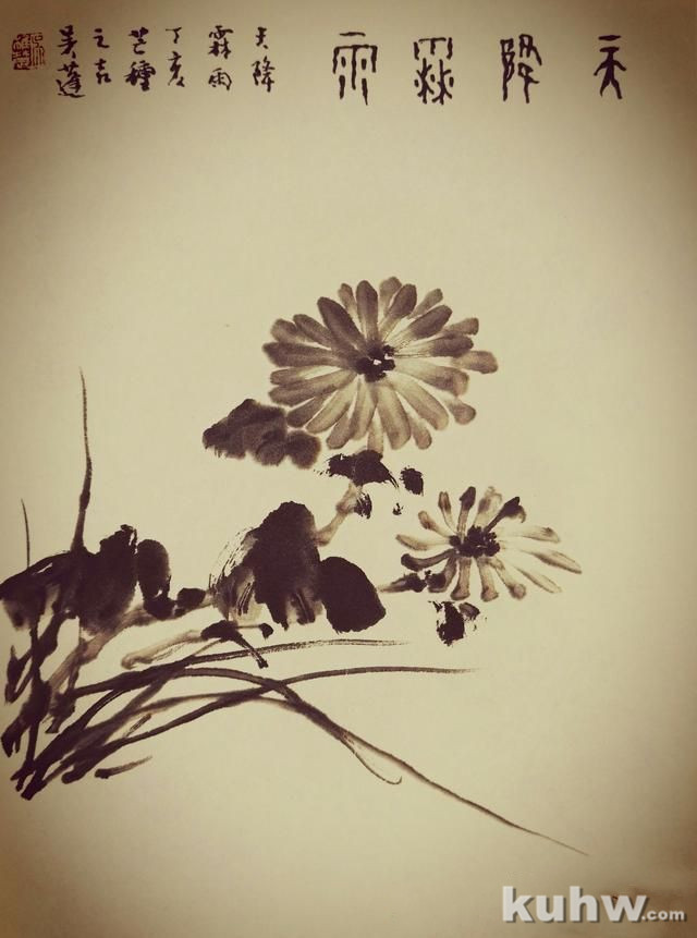 画菊花第三个步骤：攒顶尖瓣花，文末附菊花作品