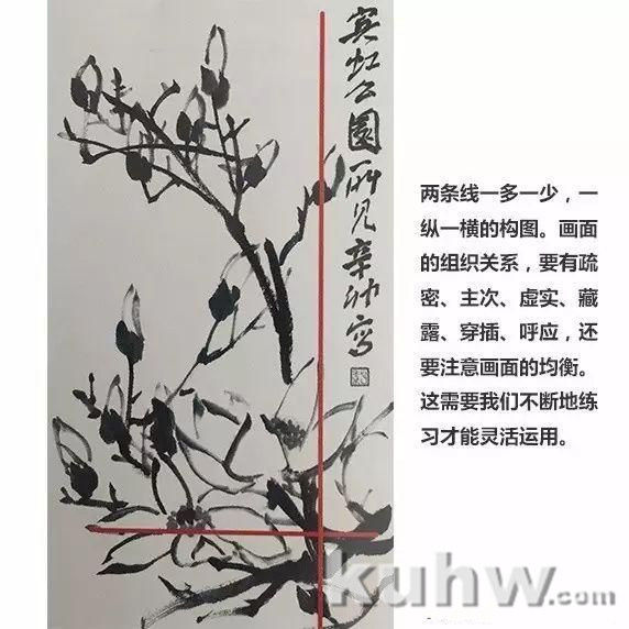 入门教程丨玉兰的画法