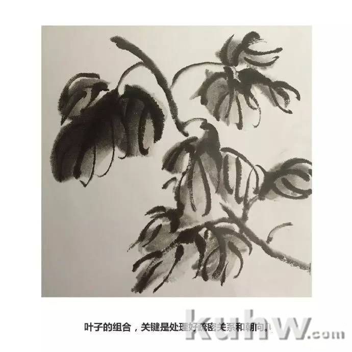 菊花怎么画  国画写意菊花画法