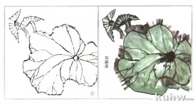 图解漂亮又简单荷叶画法步骤，国画荷叶的画法大全