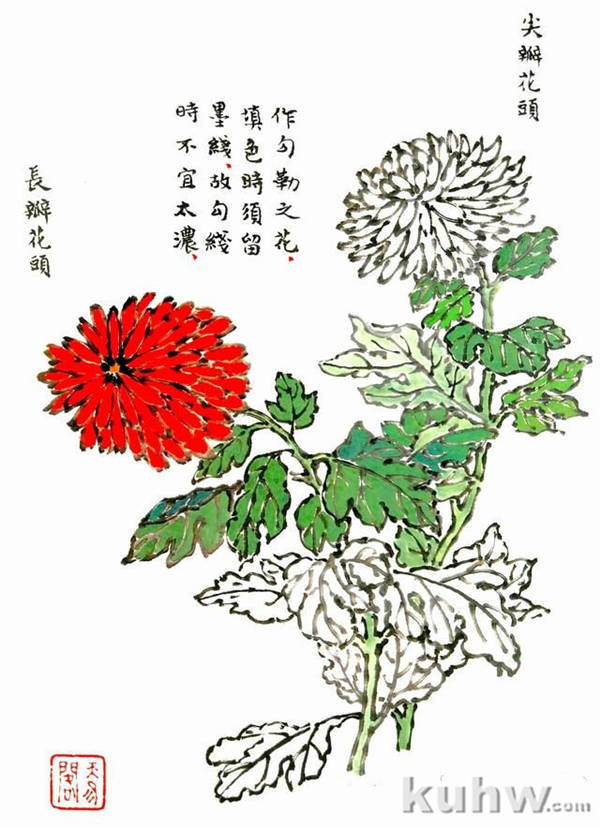 九种勾勒花头和枝叶的技法，画墨菊的最后步骤图