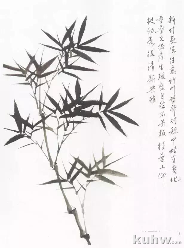 方楚雄画竹技法步骤图，《芥子园画谱》墨竹技法阐释，比郑板桥还会画竹的教程？