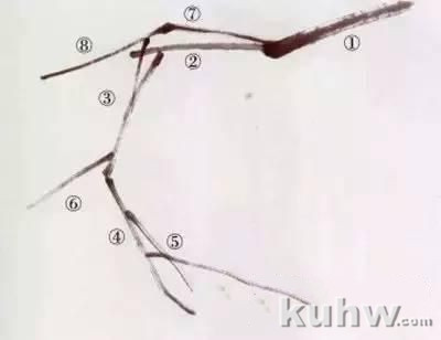 跟着吴昌硕、齐白石学画梅，机会难得！