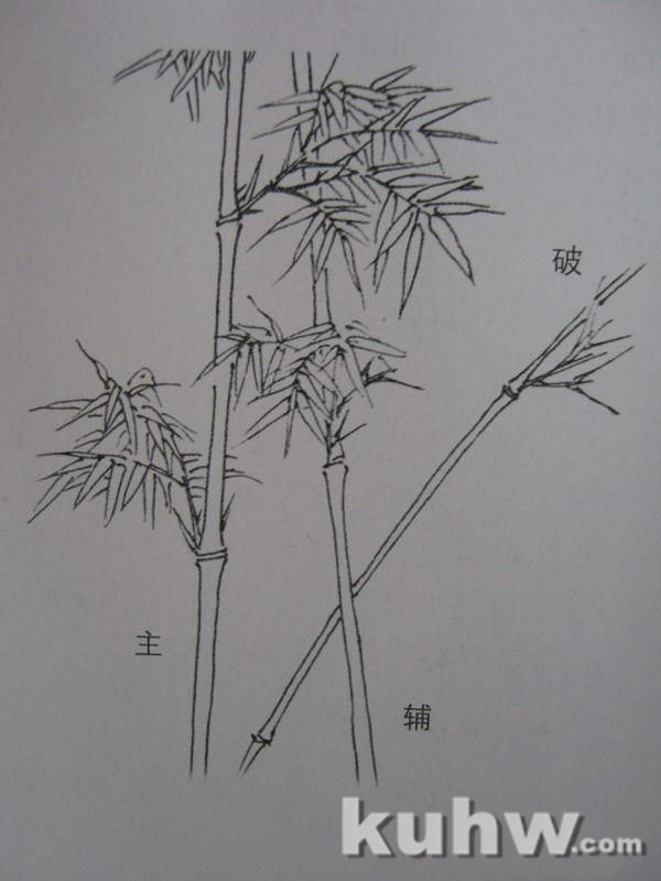 植物花卉写生白描的方法及步骤 花卉素描写生步骤图教程