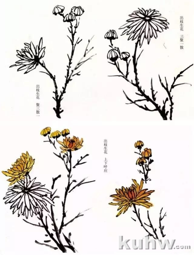 菊花写意画法步骤图文详解，菊花与叶的组合画法