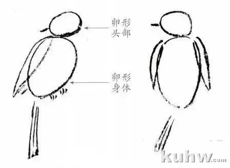 国画教程：国画花鸟扇面步骤详解