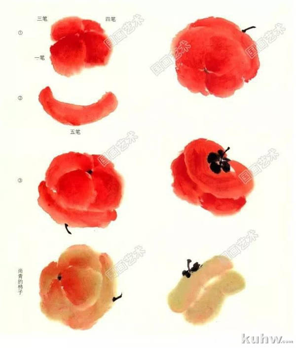 写意柿子画法教程，名家写意柿子技法赏析，国画柿子的画法步骤