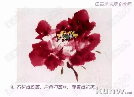 图文教程：写意牡丹玉兰画法解析