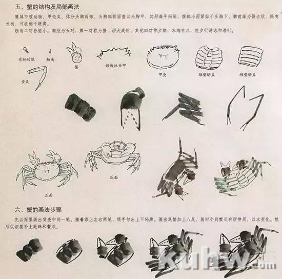 国画花鸟技法：几种虫儿的画法