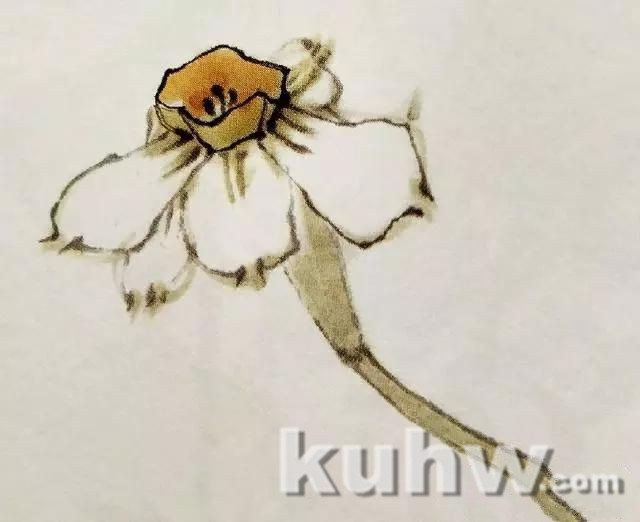 国画之水仙花花头的各种造型，水仙花头的画法步骤