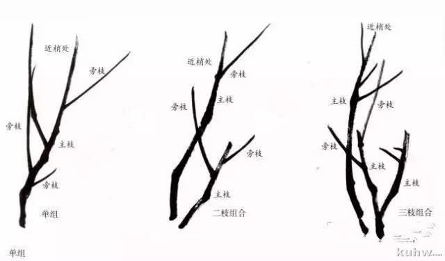 跟着吴昌硕、齐白石学画梅，机会难得！