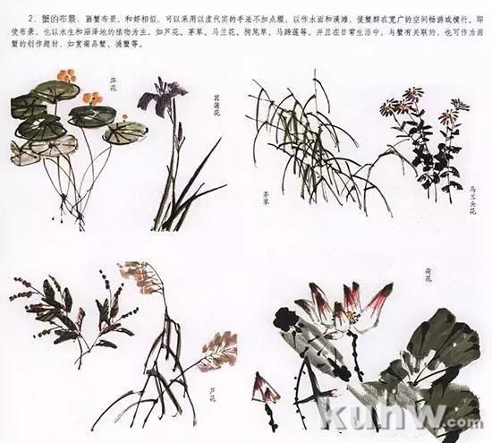 国画花鸟技法：几种虫儿的画法