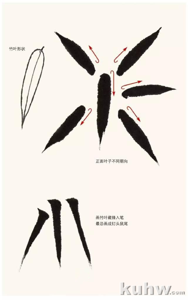 「转」名家教你画竹，从简单画起