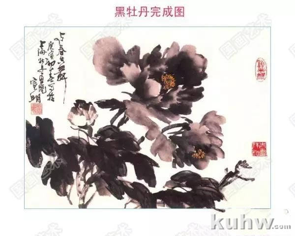 牡丹九大色系特点与画法