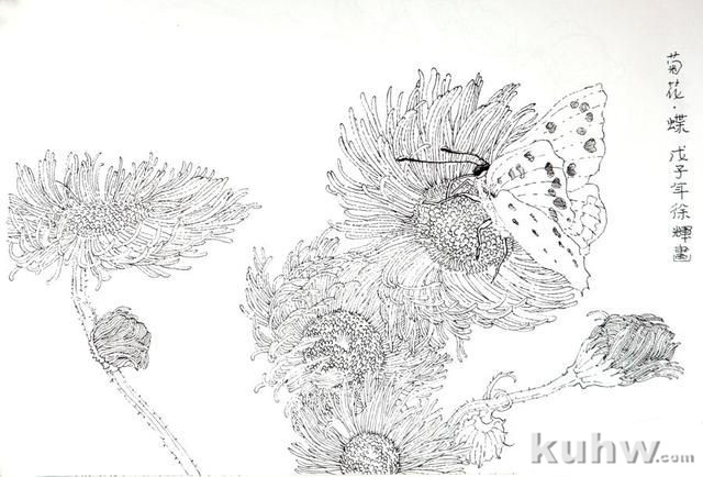 植物花卉写生白描的方法及步骤 花卉素描写生步骤图教程