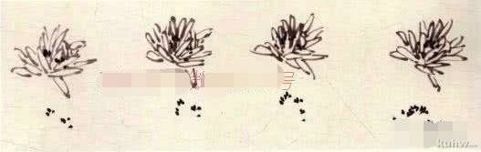 菊花的基本画法步骤，菊花的组合画法详解