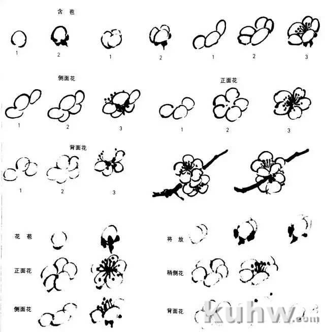 图文详解画梅