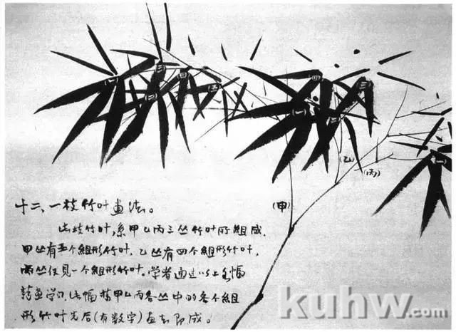 写意花鸟画教程之竹子的画法，国画技法教程竹子画法示例