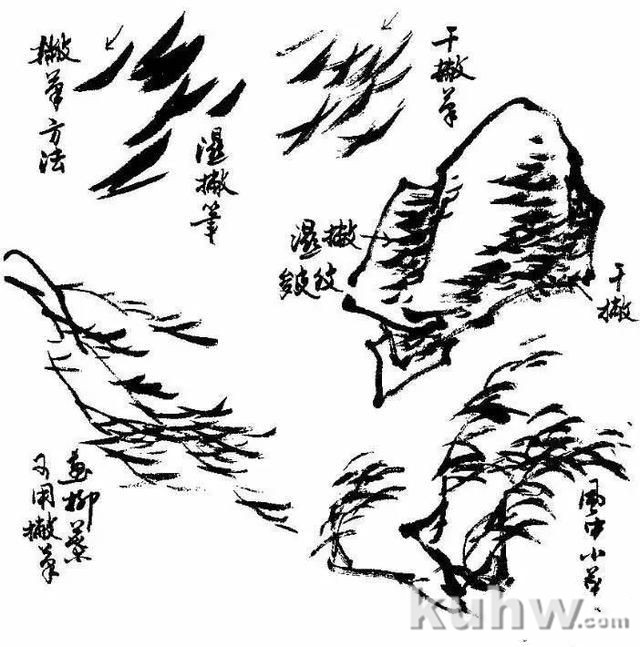 写意花鸟画笔墨技法：笔锋使用详解