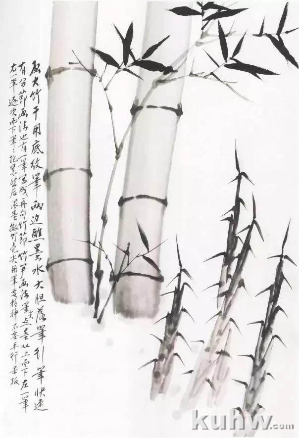 方楚雄画竹技法步骤图，《芥子园画谱》墨竹技法阐释，比郑板桥还会画竹的教程？