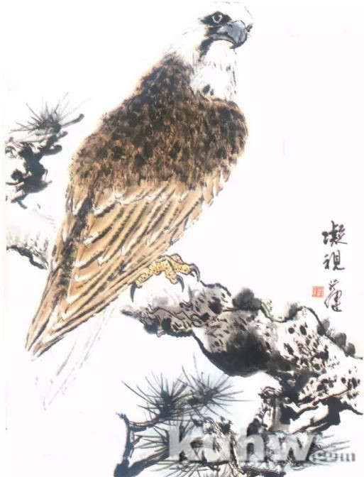 图文教程：国画鹰的画法