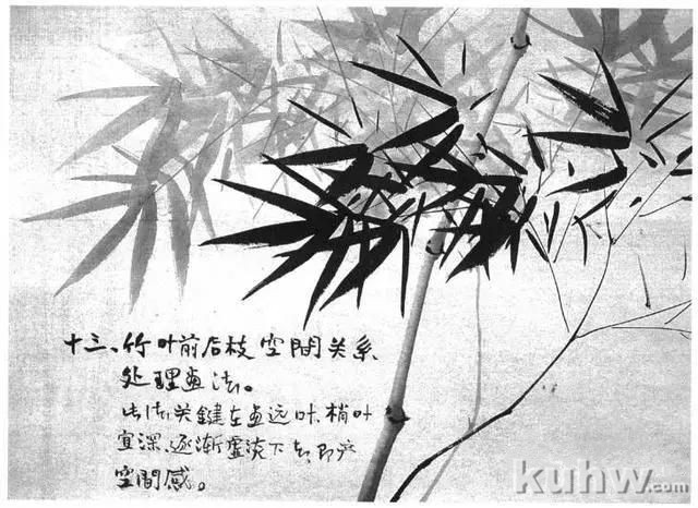 写意花鸟画教程之竹子的画法，国画技法教程竹子画法示例