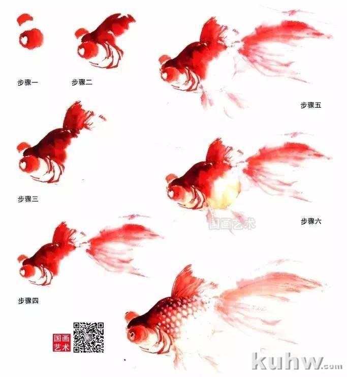 红色金鱼的画法步骤(点虱法)画鱼尾鳍的角度应有变化,形似蝴蝶,注意