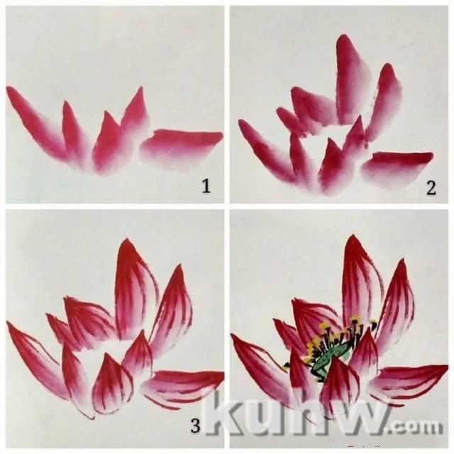 国画之荷花花头的没骨法画法，以及不同形态的荷花花头