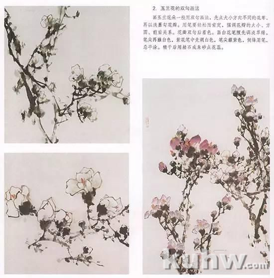 国画玉兰花的绘画技法