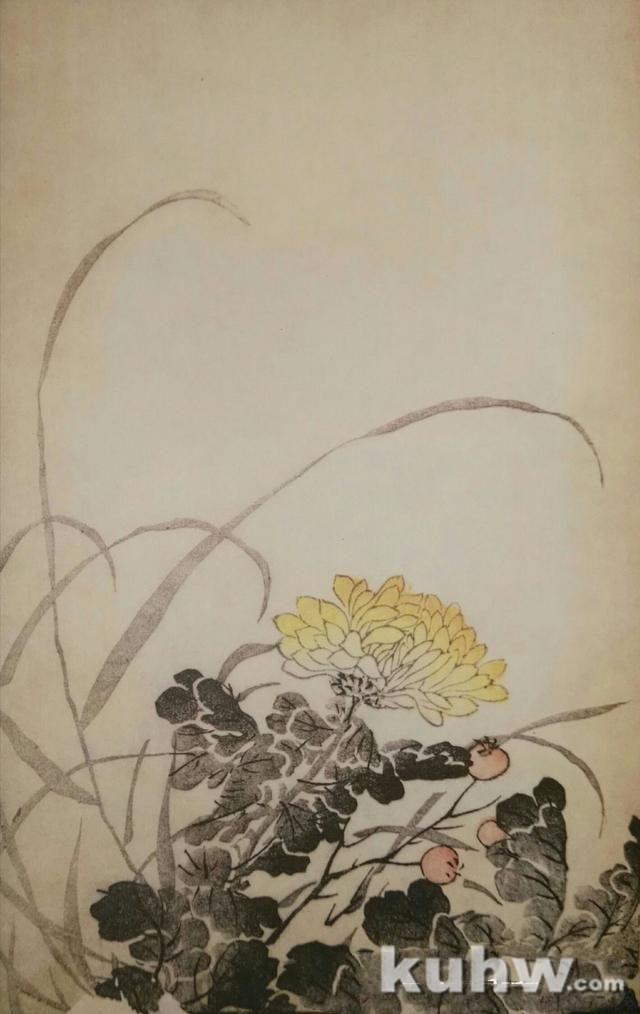 清前名家26种墨菊搭配画法之三，15幅画每天轻松学