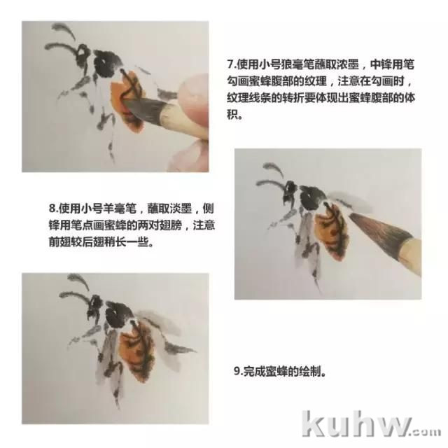 国画教程：蜜蜂画法