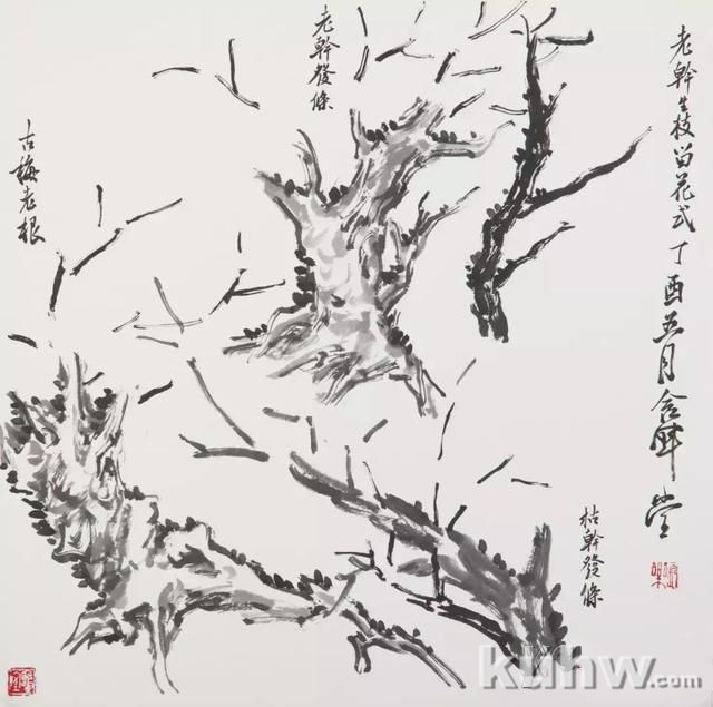 张晖教你画梅花：枝干原来很好画！