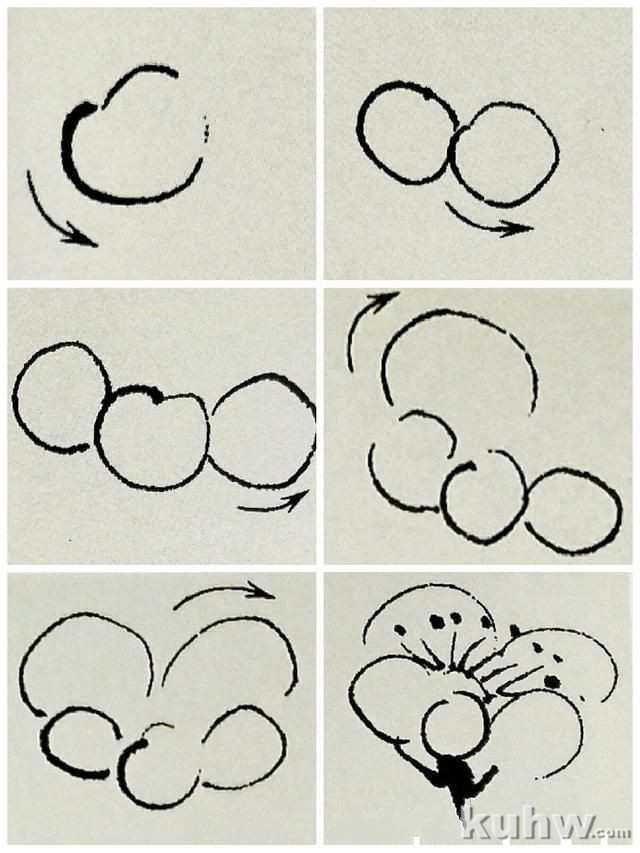 画梅之梅花花朵的勾勒法画法，各种姿态的梅花
