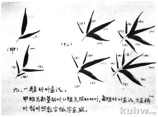 写意花鸟画教程之竹子的画法，国画技法教程竹子画法示例