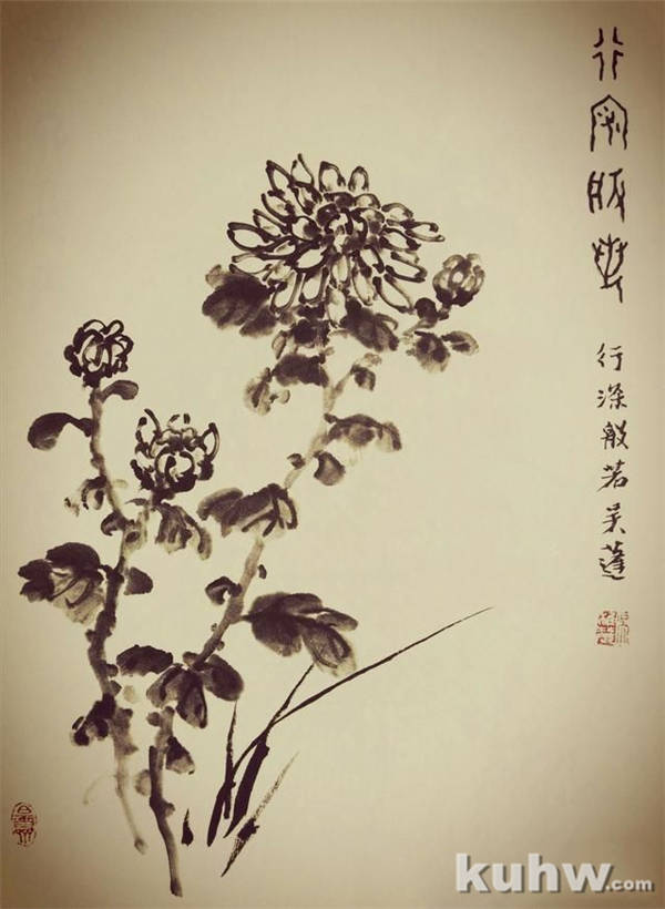 画菊花第三个步骤：攒顶尖瓣花，文末附菊花作品