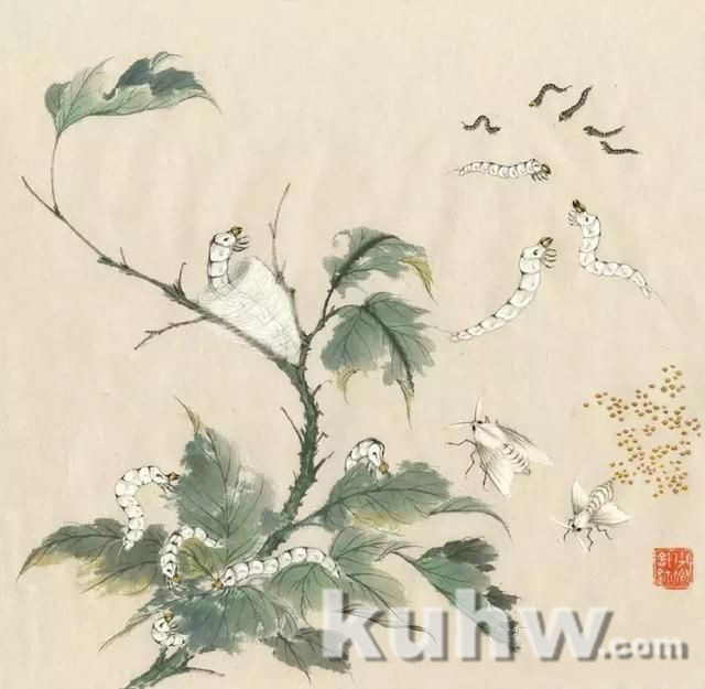 逐花之虫：蝶、蜂画法示范