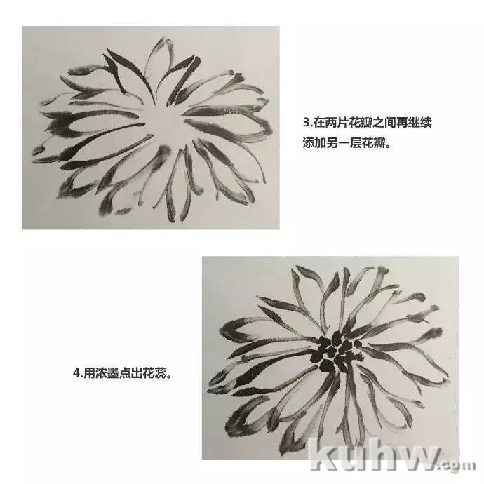 菊花怎么画  国画写意菊花画法