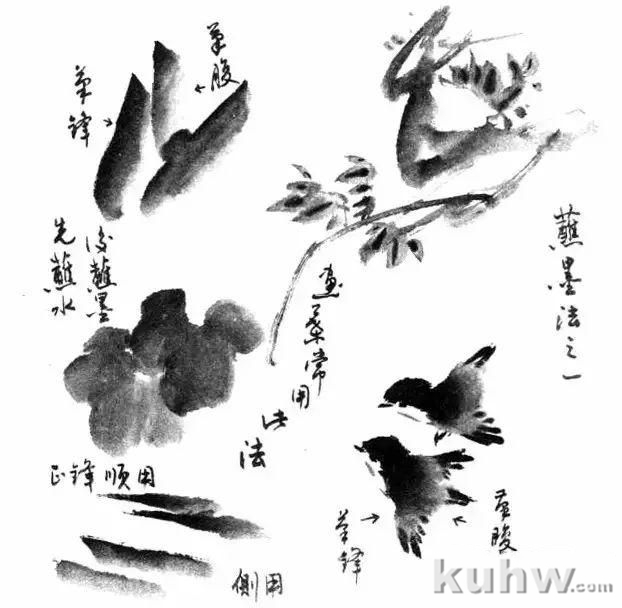 如何画好写意花鸟画？