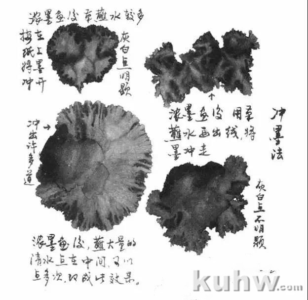 如何灵活运用花鸟画的水墨关系