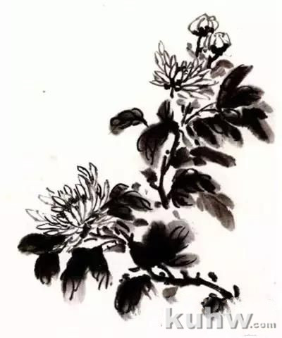 菊花写意画法步骤图文详解，菊花与叶的组合画法