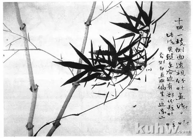 写意花鸟画教程之竹子的画法，国画技法教程竹子画法示例