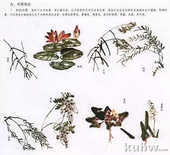 国画花鸟技法：几种虫儿的画法