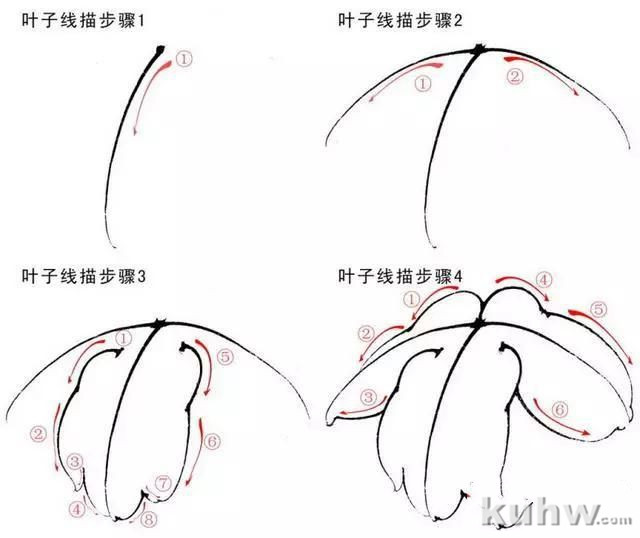 画友之家-技法篇-工笔柿子和牡丹画法大集合，快快收藏！