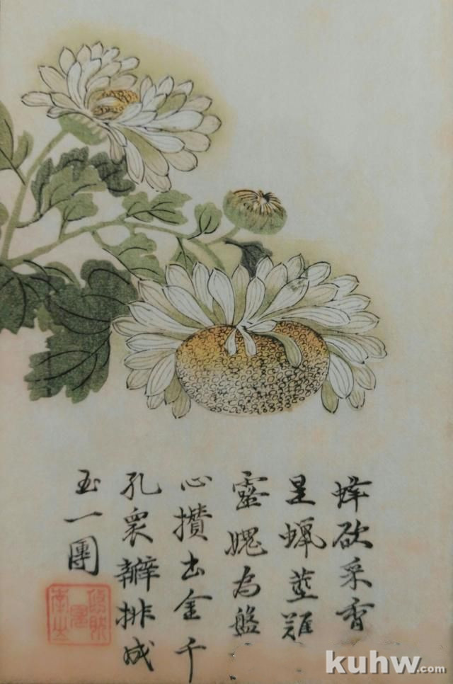 清前名家26种墨菊搭配画法之二，15幅画每天轻松学