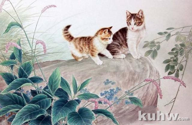 工笔画自学入门：工笔猫画法步骤图文教程