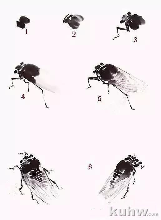 草虫画法――蝉